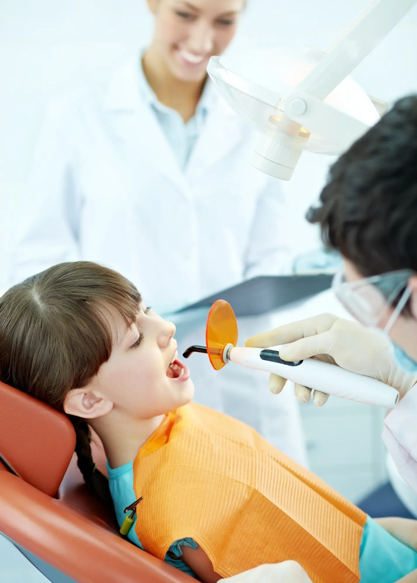 Garden Valley Service: Exams and Cleanings