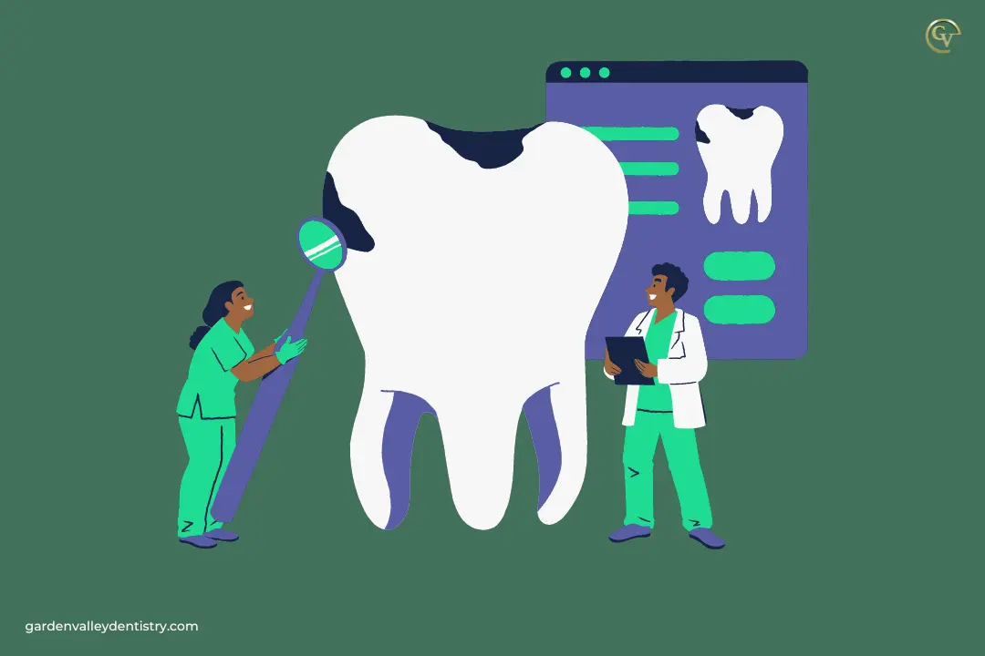 Insurance and Financing Options